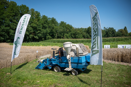 Dobrovnik - 2000 semen - ZETEV 2025-1174566